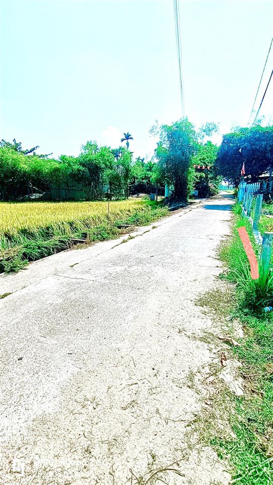 Bán đất view lúa tại huỳnh thị lựu, 4,4 tỷ, 130m2, chính chủ bao đẹp