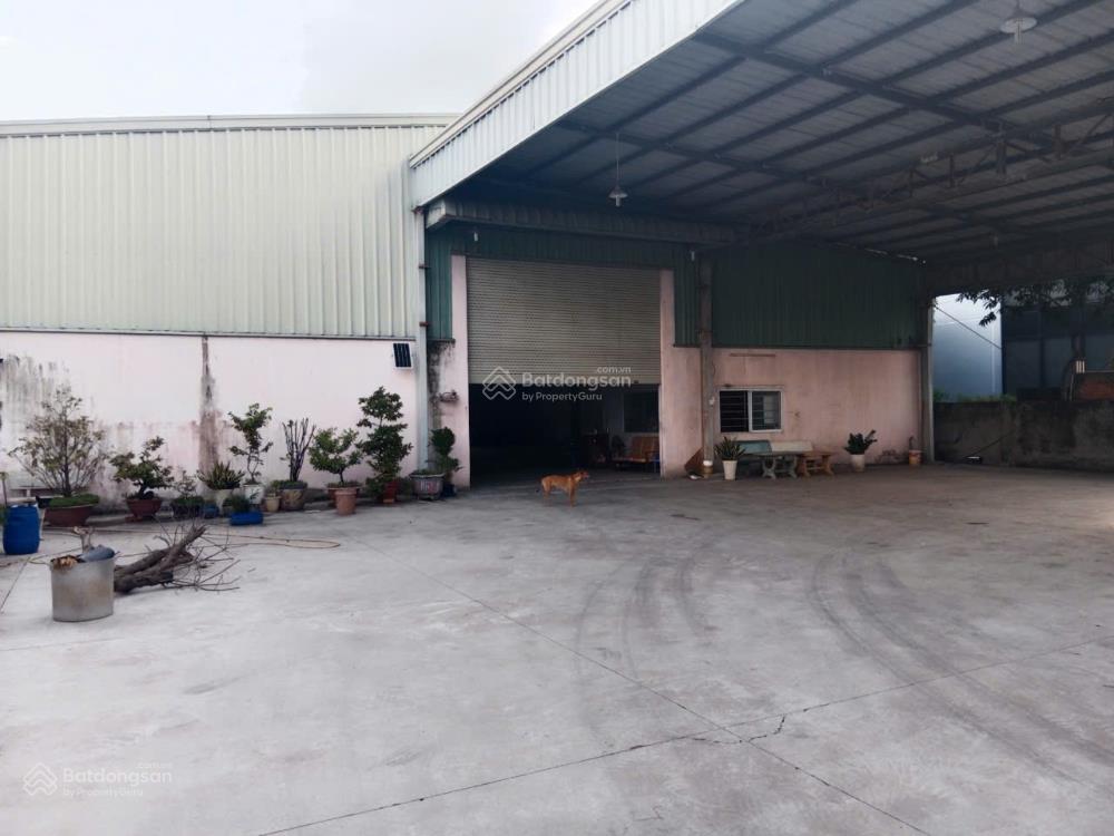 Cho thuê kho xưởng 1.200m2. sân bãi rộng, xe container 24h vào tận kho