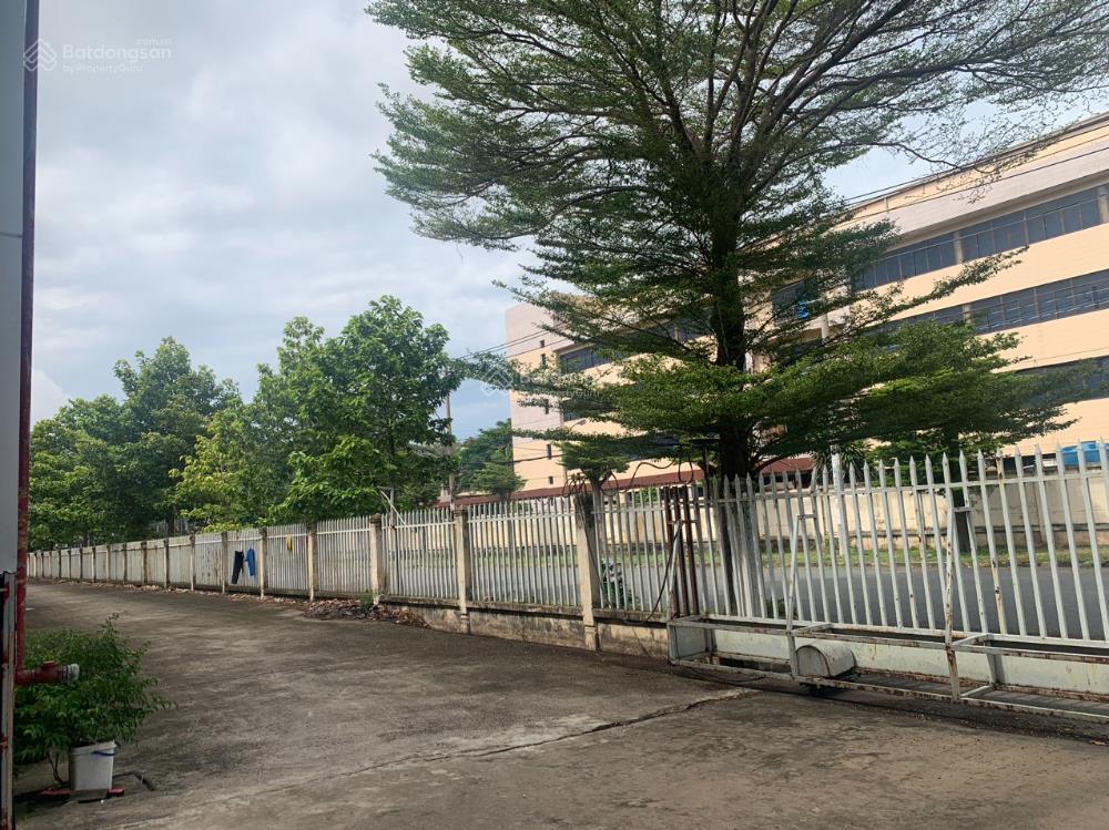 Cho thuê kho xưởng tân tạo, bình tân. nhà xưởng 8000m2, khuôn viên 10.650m2