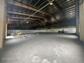 Cho thuê kho xưởng 1.500m2 cnn đức hòa. hệ thống pccc tự động