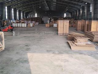 Cho thuê kho xưởng cần giuộc  long an. diện tích 2000m2