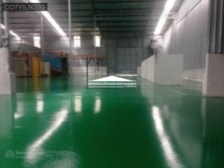 Cho thuê kho xưởng 1.000m2 bình chánh. nền epoxy sạch đẹp