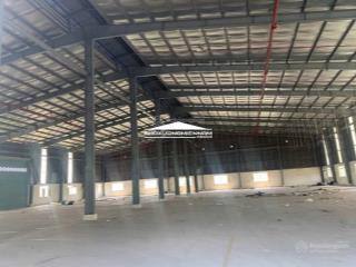 Cho thuê kho xưởng cần đước  long an. diện tích 2.500m2, kv 7.000m2. hệ thống pccc tự động