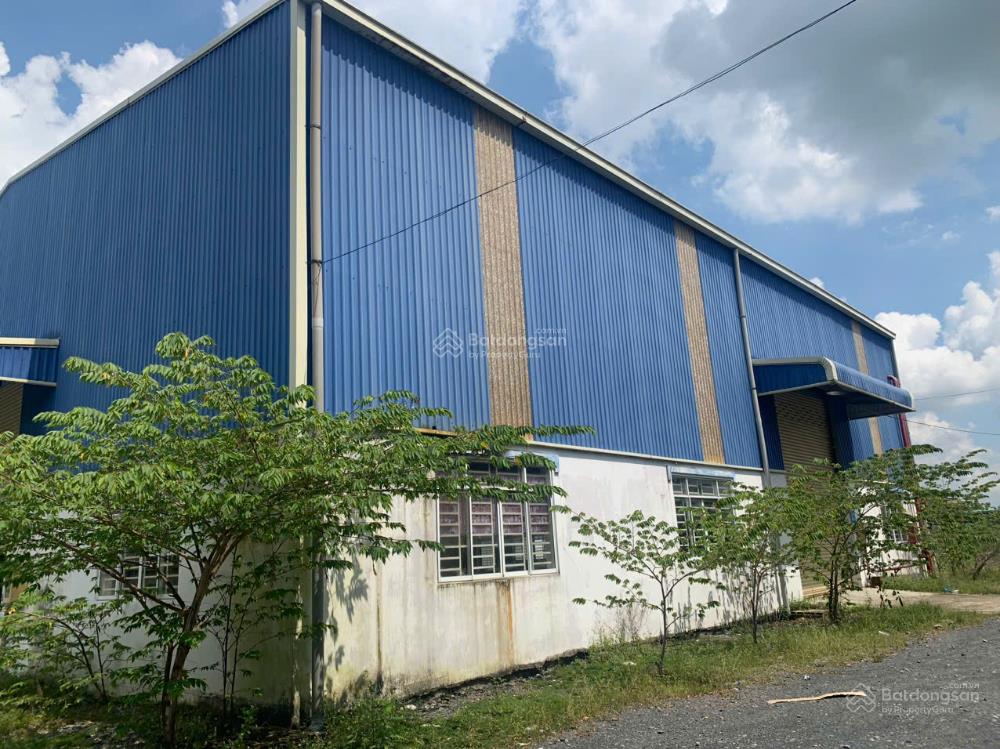 Cho thuê kho xưởng cần đước  long an. diện tích 2.500m2, kv 7.000m2. hệ thống pccc tự động