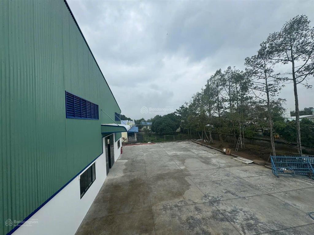 Cho thuê kho xưởng 800m2 bình chánh. kho sạch đẹp, kiên cố