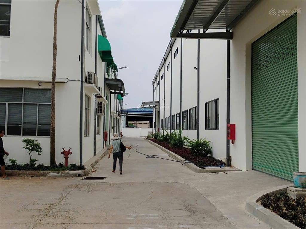 Cho thuê kho xưởng 6.000m2 bình tân (thuê lẻ từ 1.000m2). hệ thống pccc nghiệm thu