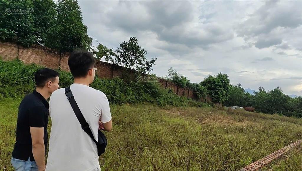 Chính chủ bán mảnh đất đẹp 512,5m2 đường thông ô tô tránh, phù hợp làm nhà vườn hoặc đầu tư