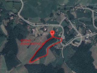 Bán 6000m2 đất có thổ cư, bám đường lớn, đất phẳng tại hưng long, yên lập, phú thọ