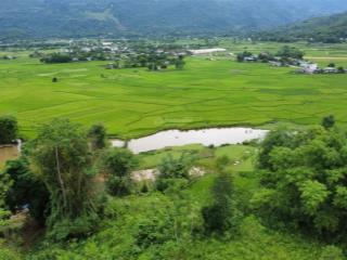 Bán 6000m2 có 2000m2 thổ cư đất view cột cờ tân lạc, làm nghỉ dưỡng