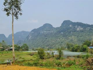 1400m2 có 200m2 thổ cư, view hồ hoa súng đẹp tại phú vinh tân lạc hòa bình, ô tô vào tận đất