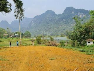 4600m2 có 200m2 thổ cư, bám hồ 1 hecta siêu view đẹp, có cây gỗ lớn trên đất trị giá cả tỷ