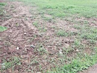 Bán đất đẹp gần quốc lộ 50, 2 tỷ, 500m2, mặt tiền 12m, sổ đỏ đầy đủ