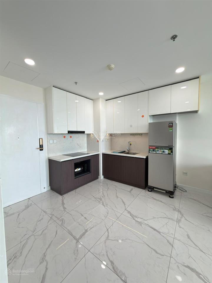Cho thuê căn 2pn 2wc full nt giá 17tr chung cư sunshine sky city quận 7.  0933 339 *** thụy