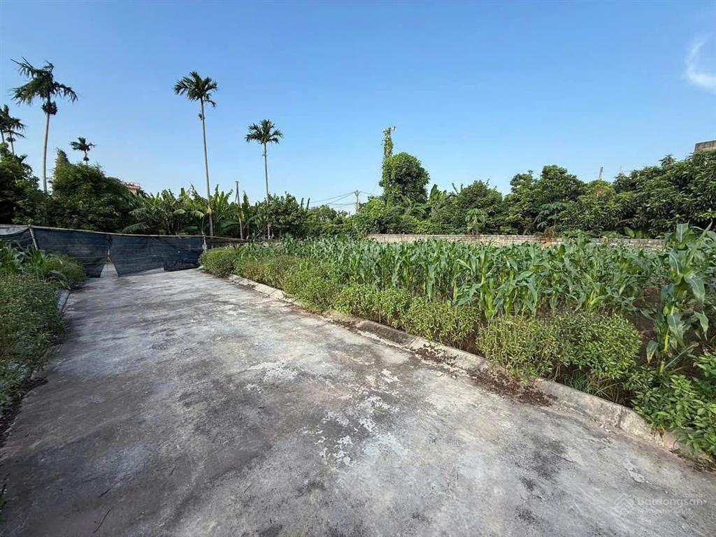 Bán đất hà nam giáp tp hưng yên, phường duy tân, ninh bình