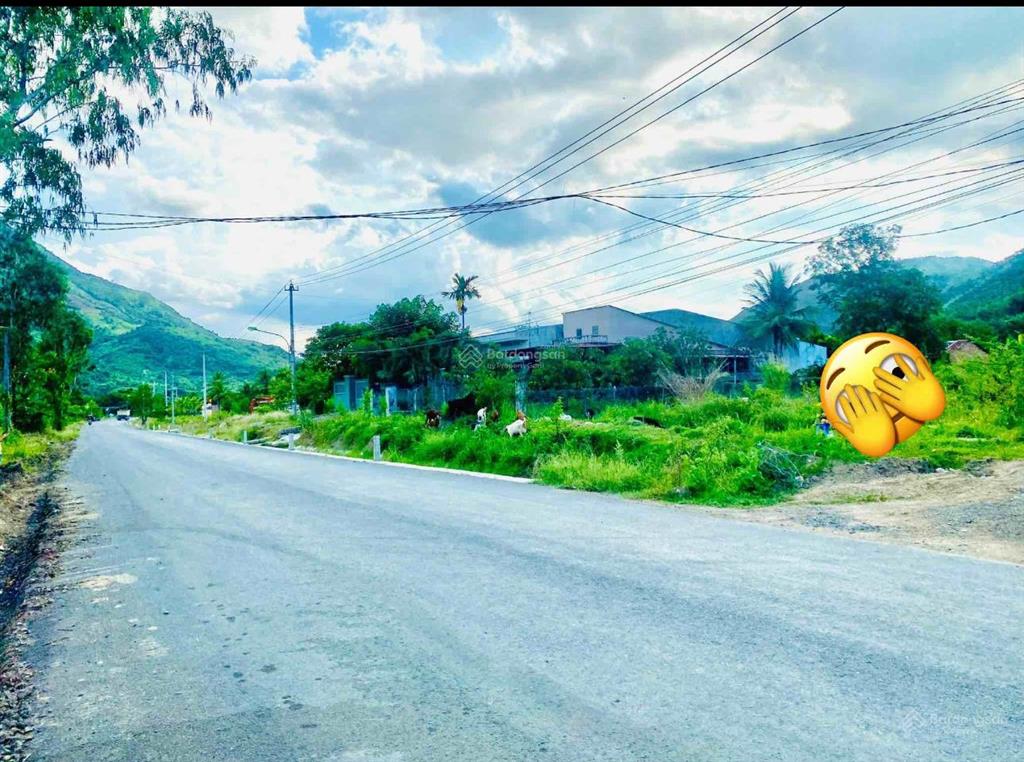 Giá đầu tư  lô góc mặt tiền tỉnh lộ 3  phước đồng 500m  1240m2 ngang 20m  giá 6tr/m2 có thổ cư
