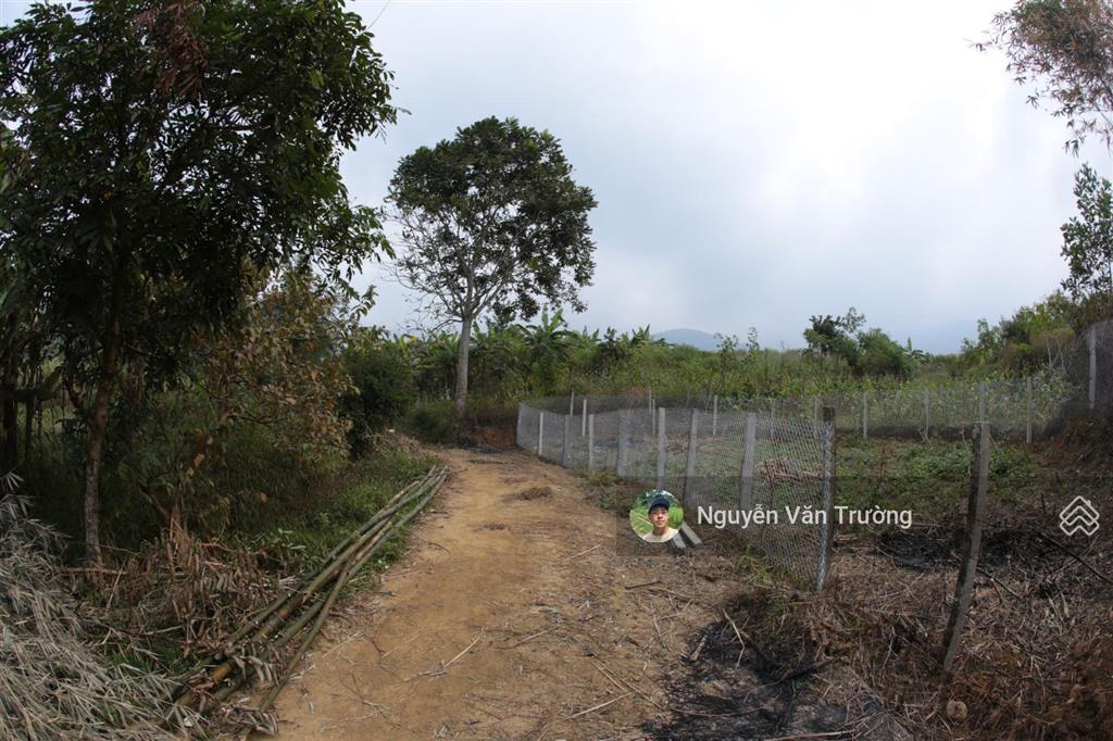 Bán 1579m2 đất vườn tại hợp phong  cao phong  hòa bình, đường bê tông vào tận đất