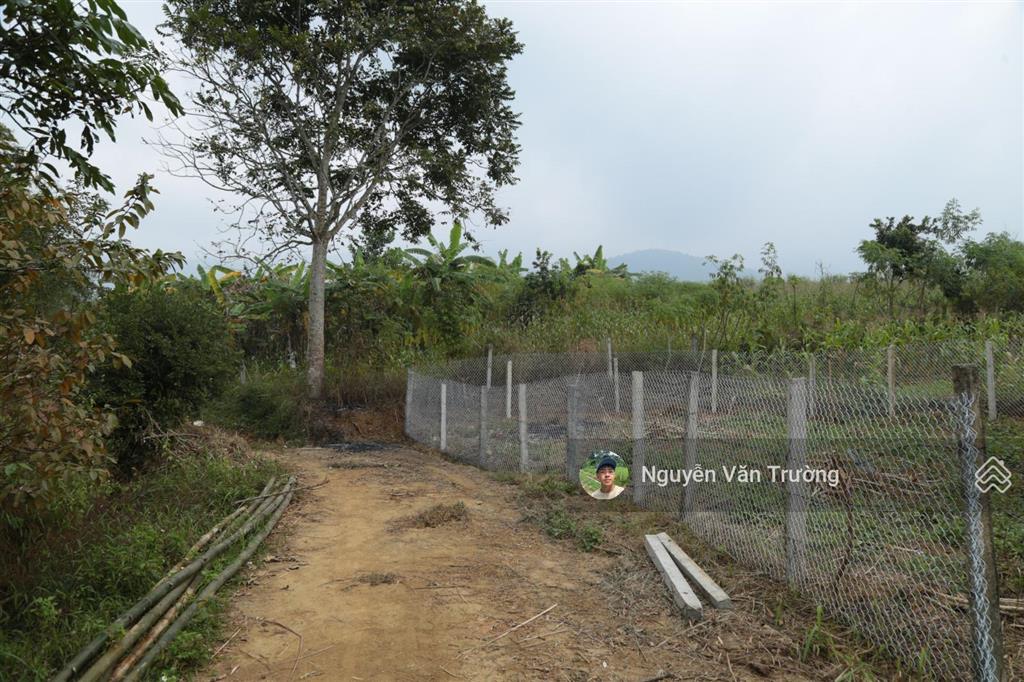 Bán 1579m2 đất vườn tại hợp phong  cao phong  hòa bình, đường bê tông vào tận đất