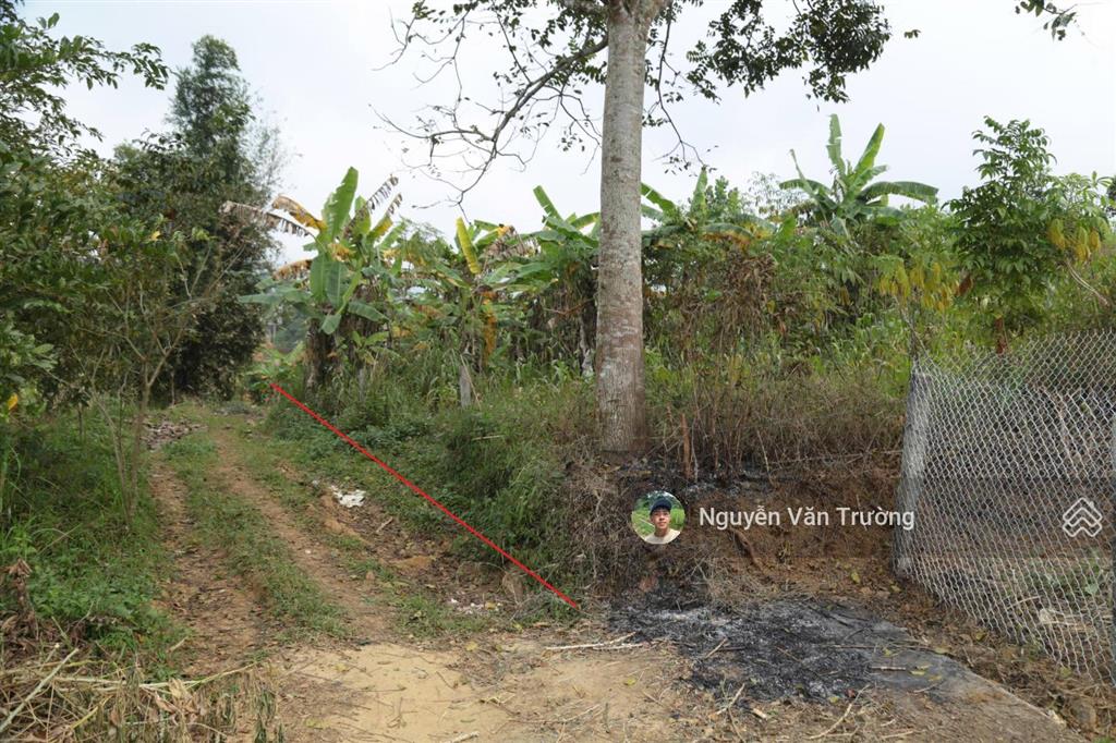 Bán 1579m2 đất vườn tại hợp phong  cao phong  hòa bình, đường bê tông vào tận đất