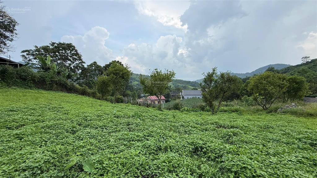Bán khuôn viên nghỉ dưỡng hơn 1ha có nhà sẵn gần suối, thác và đập nước cao phong, hòa bình