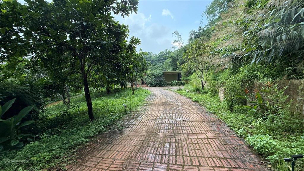 Bán khuôn viên nghỉ dưỡng hơn 1ha có nhà sẵn gần suối, thác và đập nước cao phong, hòa bình