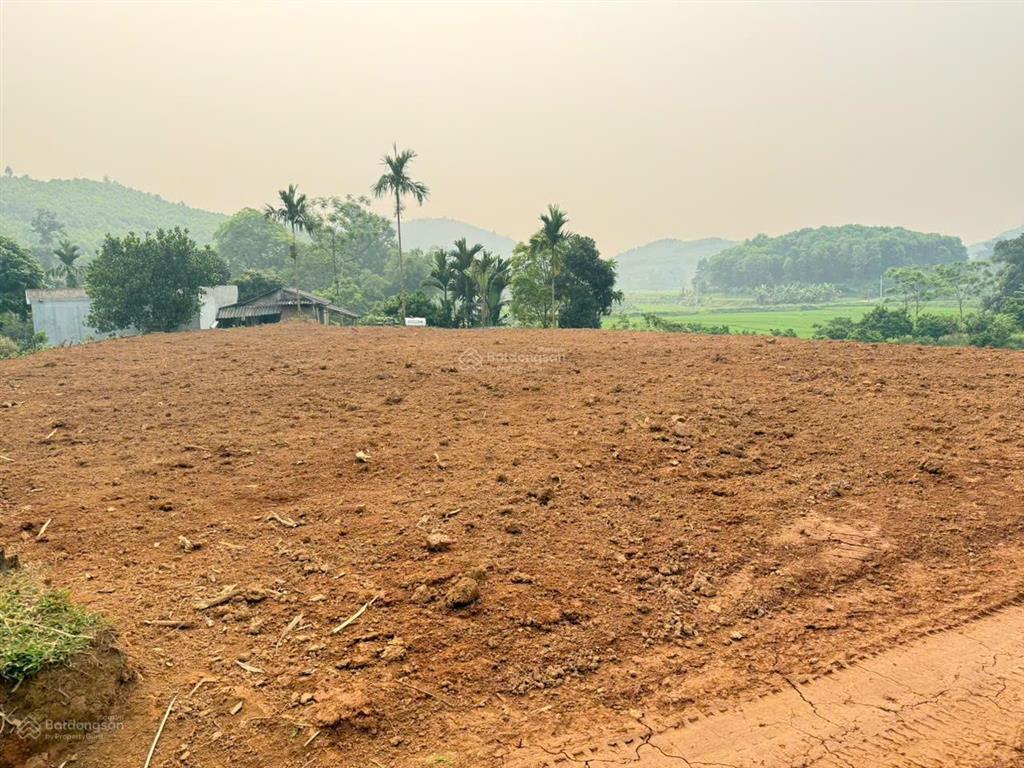 Bán 1.700m² đất tân lạc, 400m² đất ở, view cánh đồng, giá 699 triệu