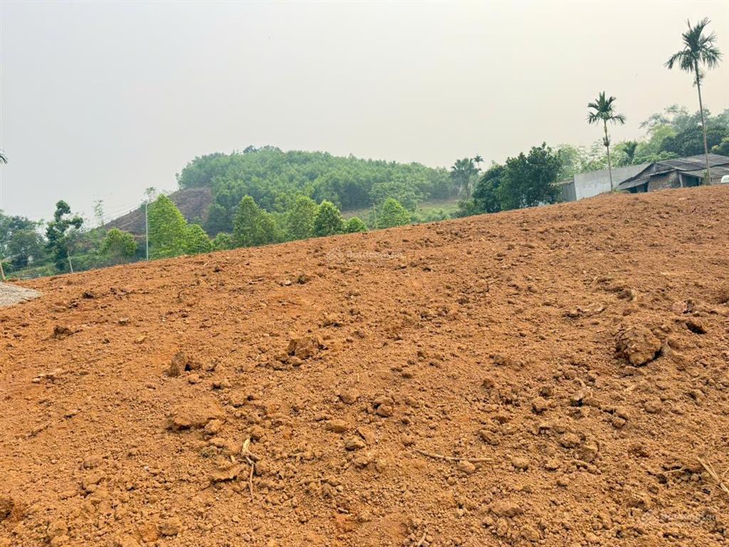 Bán 1.700m² đất tân lạc, 400m² đất ở, view cánh đồng, giá 699 triệu