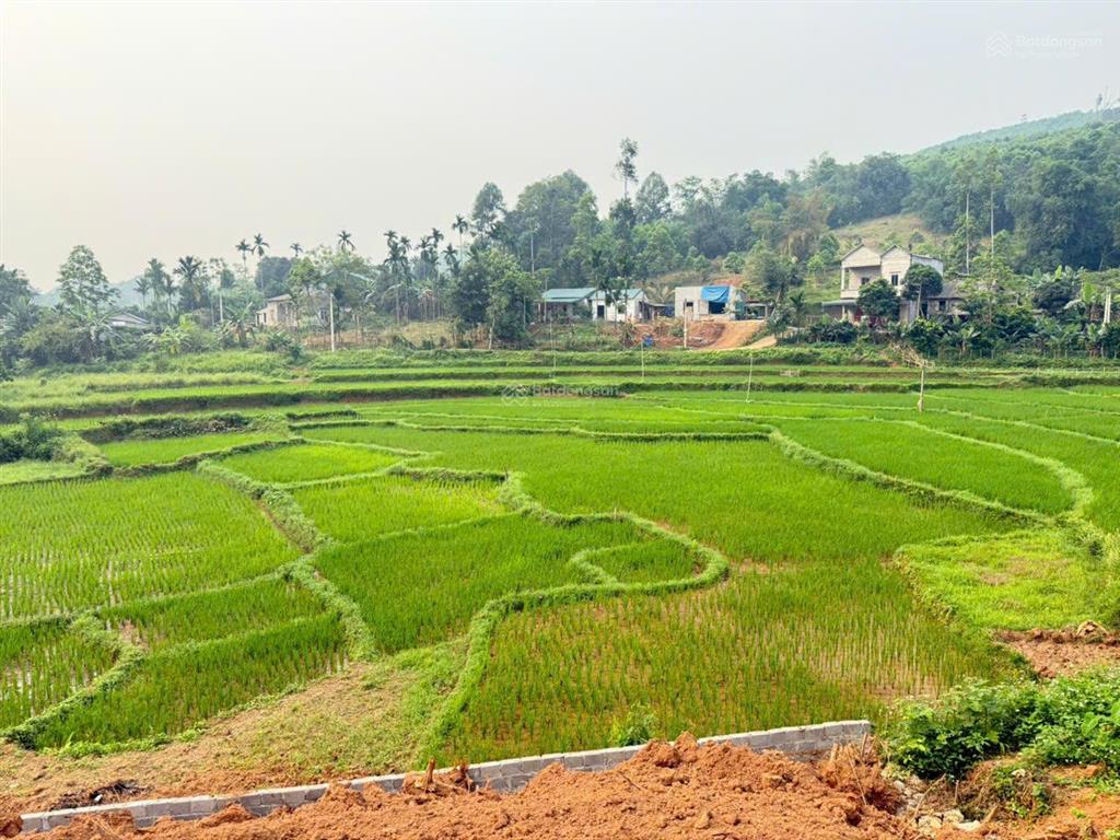 Bán 1.700m² đất tân lạc, 400m² đất ở, view cánh đồng, giá 699 triệu