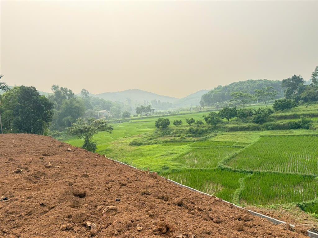 Bán 1.700m² đất tân lạc, 400m² đất ở, view cánh đồng, giá 699 triệu
