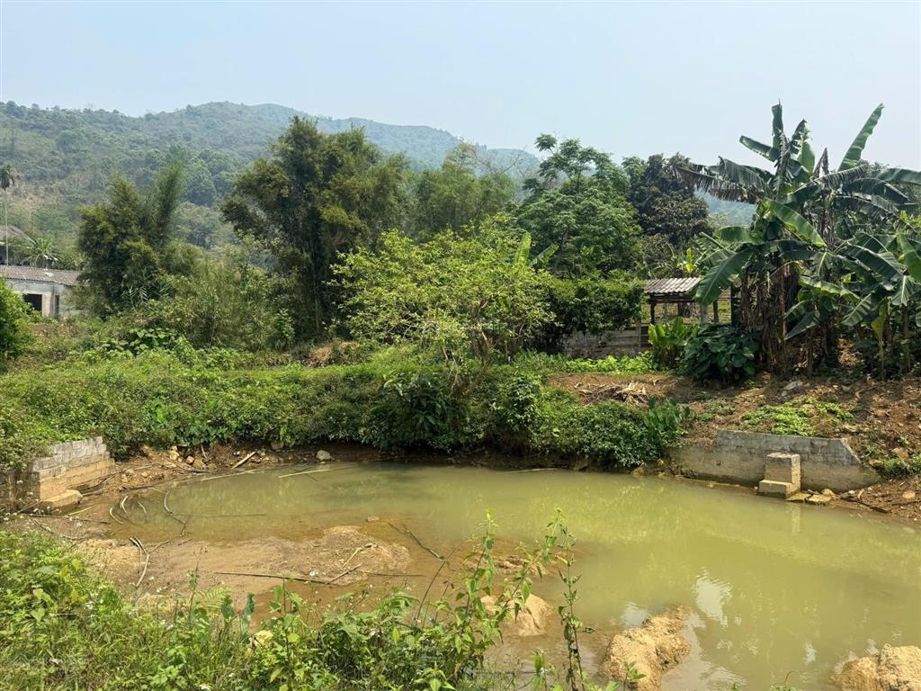 Bán 2.285m² đất hợp phong, cao phong, 1.150m² đất ở, có ao, bám suối nhỏ
