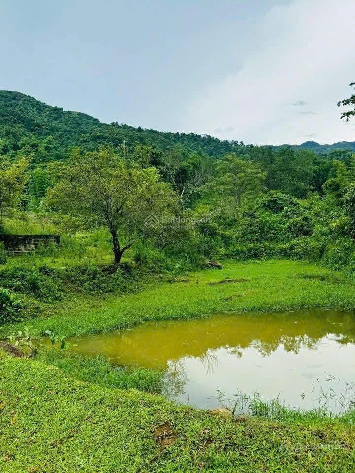 Bán 2.285m² đất hợp phong, cao phong, 1.150m² đất ở, có ao, bám suối nhỏ