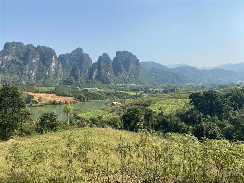 Bán 4.869m² đất nghỉ dưỡng view hồ mười tại cao phong, có nhà, đường bê tông, đã cải tạo