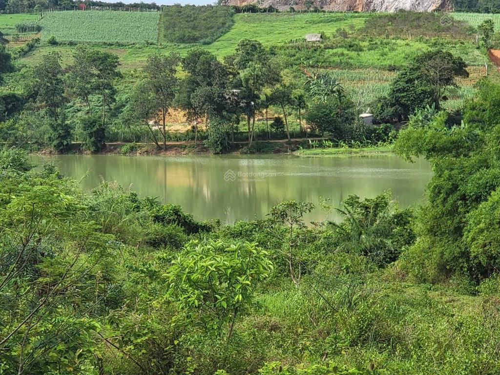 Bán 4.869m² đất nghỉ dưỡng view hồ mười tại cao phong, có nhà, đường bê tông, đã cải tạo