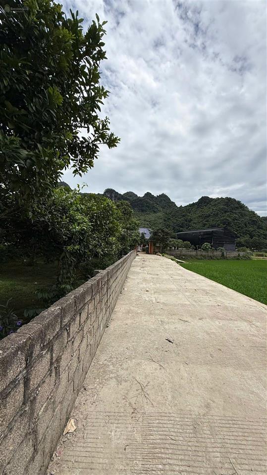 Bán 914m² đất mỵ hòa, kim bôi, 400m² thổ cư, mặt tiền 68m, đường bê tông 4m, view cánh đồng