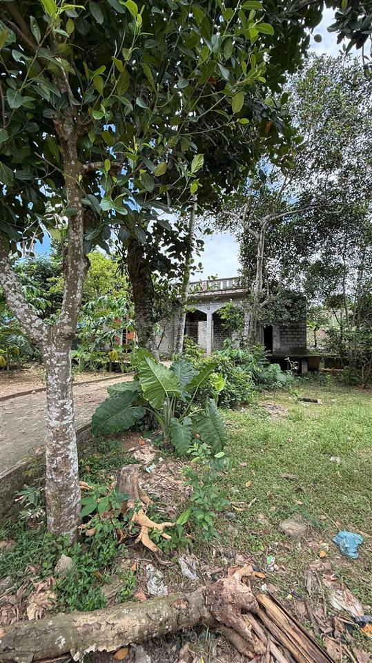 Bán 914m² đất mỵ hòa, kim bôi, 400m² thổ cư, mặt tiền 68m, đường bê tông 4m, view cánh đồng
