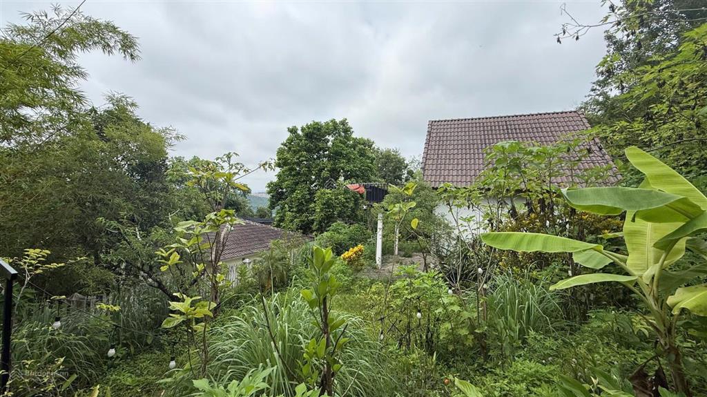 Bán 195m² đất có nhà tại kỳ sơn, lương sơn, khu thác thăng thiên sử dụng thực tế 312m2