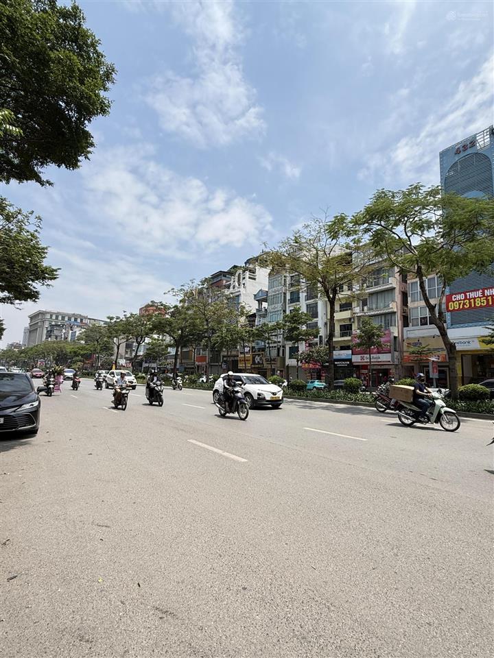 Chùa bộc đống đa.siêu phẩm mặt phố cực đẹp,hiếm.vị trí đắc địa mặt tiền bề thế,vỉa hè rộng kinh đỉn