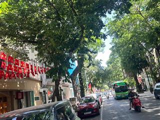 Ngô thì nhậm. siêu phẩm cực đẹp, quá hiếm có 102. vịbtris đắc địa,mặt tiền quyền lực, chủ bán gấp