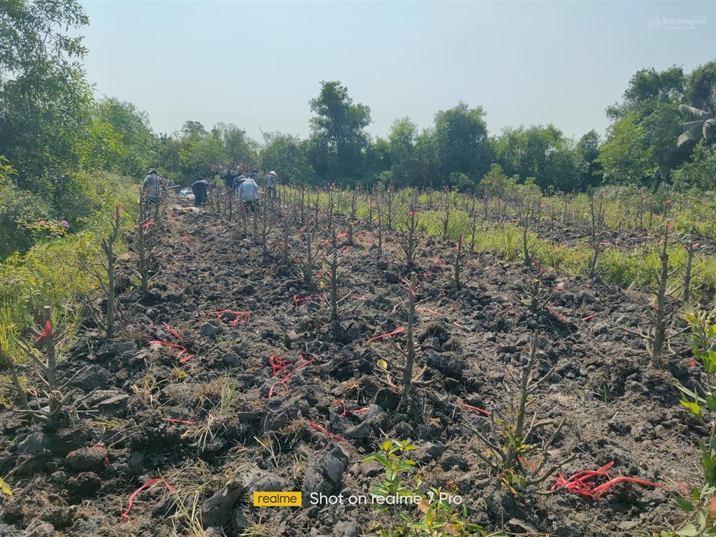 Bán đất 6300m2 ở lương hòa, tây ninh, giá 4,5 tỷ