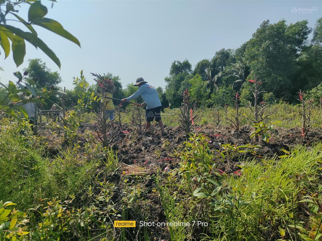 Bán đất 6300m2 ở lương hòa, tây ninh, giá 4,5 tỷ