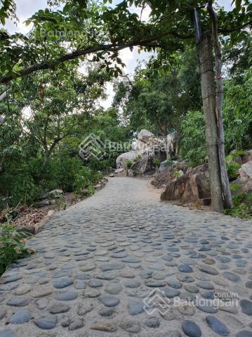Bán mảnh đất đẹp như mơ tại vịnh vĩnh hy  ninh thuận chỉ 2 triệu/m²