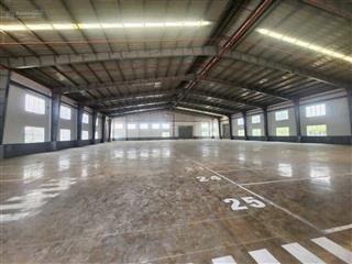 (chính chủ cho thuê) trong kcn an tây, bến cát. 1.300m2