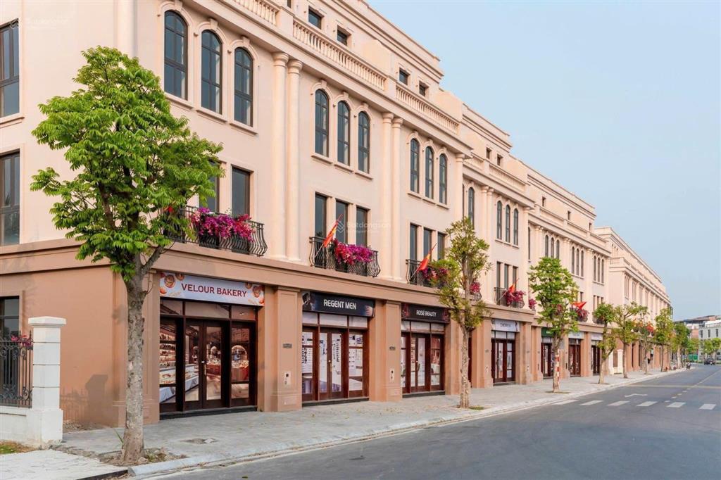 Đv07 căn shohouse view sông + 100m2 sân vườn sau nhà tự cải tạo giá trị sống cực hưởng thụ.