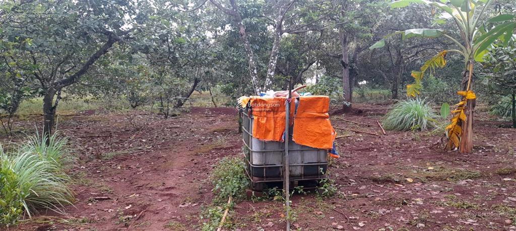 Bán nhà vườn chính chủ, gần nhà thờ đức liễu, thích hợp xây nhà vườn, miễn tiếp môi giới, cảm ơn!