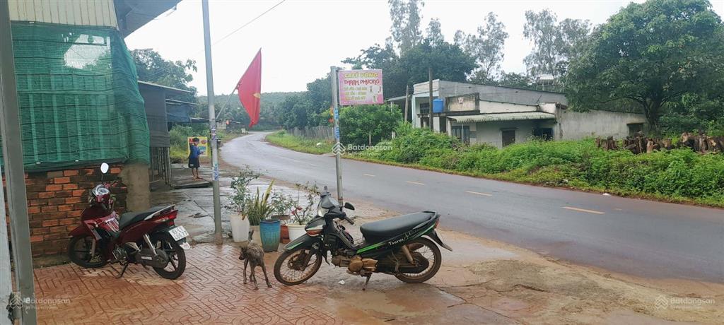 Bán nhà vườn chính chủ, gần nhà thờ đức liễu, thích hợp xây nhà vườn, miễn tiếp môi giới, cảm ơn!