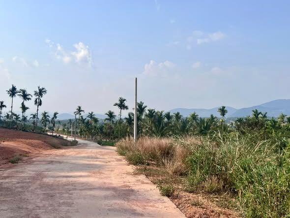 ĐẤT 2 MẶT TIỀN – THUNG LŨNG THÔNG XANH, KHÔNG GIAN SỐNG CHẠM CẢM XÚC