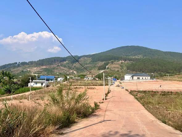 ĐẤT 2 MẶT TIỀN – THUNG LŨNG THÔNG XANH, KHÔNG GIAN SỐNG CHẠM CẢM XÚC