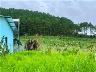 ĐẤT NAM BAN NGOẠI Ô ĐÀ LẠT – THỔ CƯ CAO – CẠNH ĐỒI THÔNG PHÙ HỢP NHÀ VƯỜN NGHỈ DƯỠNG