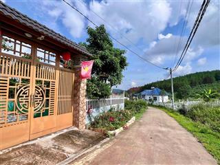 QUỸ ĐẤT HIẾM GIỮA THÔNG XANH KHU BIỆT THỰ GIA LÂM – 501M² CHỈ 1,5 TỶ