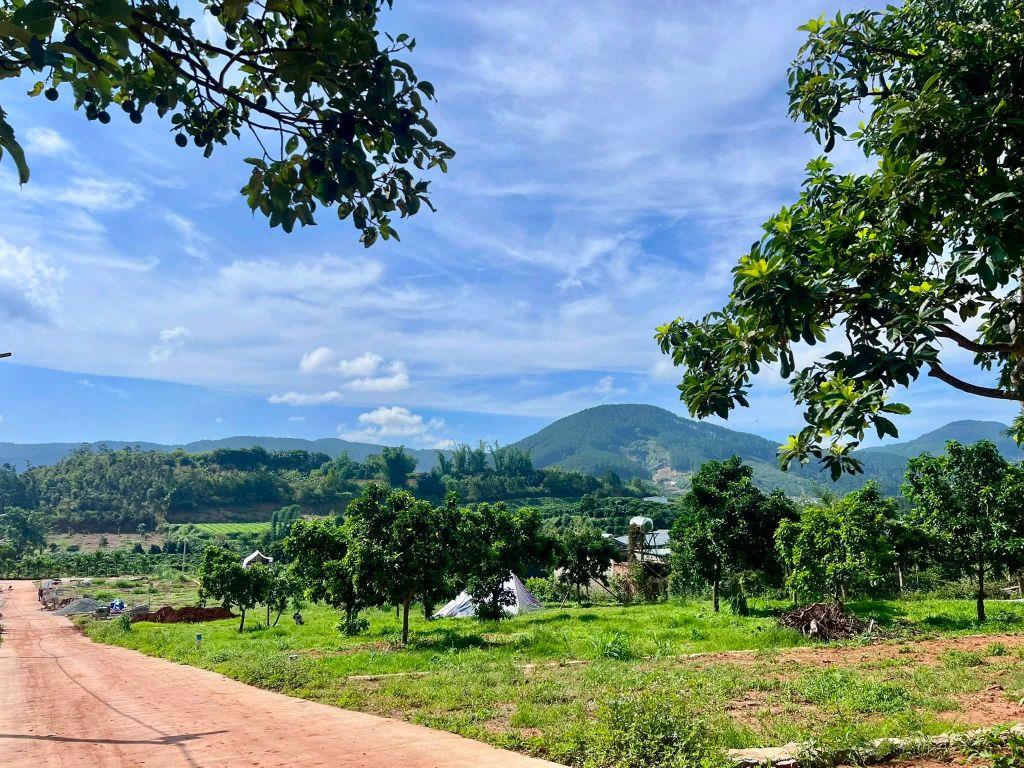Bán Đất Ven Đà Lạt 322m² Ngang 12m – Thổ Cư 259m², Hạ Tầng Hoàn Thiện, Sẵn Sàng Xây Dựng