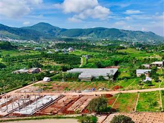 Bán Đất Ven Đà Lạt 322m² Ngang 12m – Thổ Cư 259m², Hạ Tầng Hoàn Thiện, Sẵn Sàng Xây Dựng